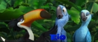 Rio la pel�cula