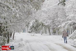 15:48 hs. Copas cargadas de nieve