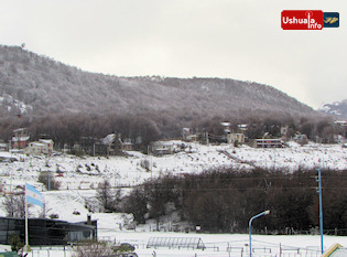 12:09 hs. La nieve salpica el bosque