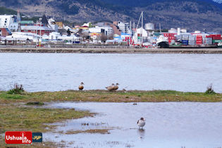 07:59 hs. Desde la Bahía Encerrada