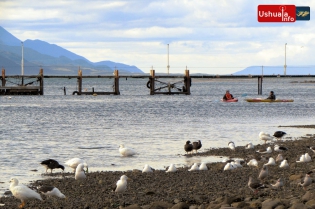 12:38 hs. Kayakistas en el muelle de la AFASyN