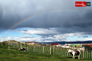 16:09 hs. Pastando bajo el arco iris