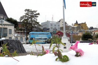 15:46 hs. Flores nevadas en la Plaza Cívica