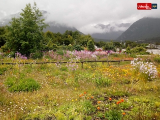 15:48 hs. Vivero de Andorra