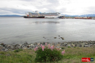 16:58 hs. El crucero Star Princess de visita en Ushuaia