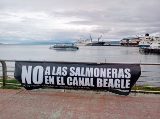 14:37 hs. No a las salmoneras en el Canal Beagle