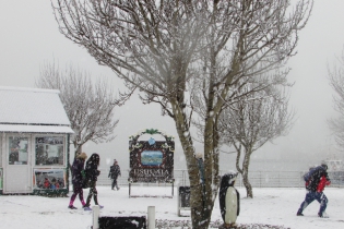 14:29 hs. Nieva fuerte en el Fin del Mundo