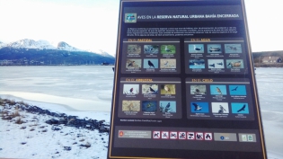 15:56 hs. Un cartel permite reconocer las aves en la BahÃ­a Encerrada