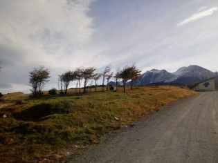 14:20 hs. Tarde de otoÃ±o en el monte Gallinero