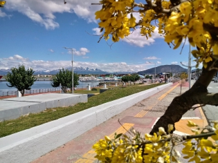 14:58 hs. Jornada esplÃ©ndida de sol