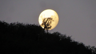 22:34 hs. la luna tras las lengas