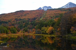 14:35 hs. El otoño fueguino es maravilloso