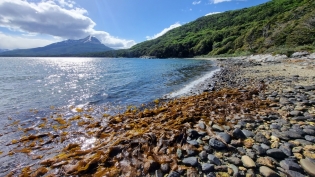 16:51 hs. cachiyuyos en la bahía Lapataia