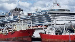 13:26 hs. Pesqueros y cruceros coinciden en el puerto