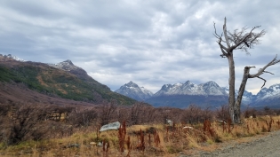 11:06 hs paisaje otoñal de Tierra del Fuego