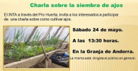 El INTA invita a una charla sobre siembra de ajos