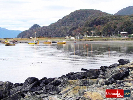 Determinan veda en Bahía Brown