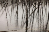 Continúa la Muestra Elija Naturaleza en la UNTDF