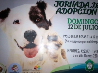 Este domingo se realizará una jornada de adopción