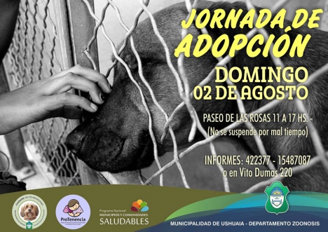 El Domingo habrá una jornada de adopción de perros