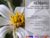 Realizarán una muestra sobre la flora de la reserva Playa Larga