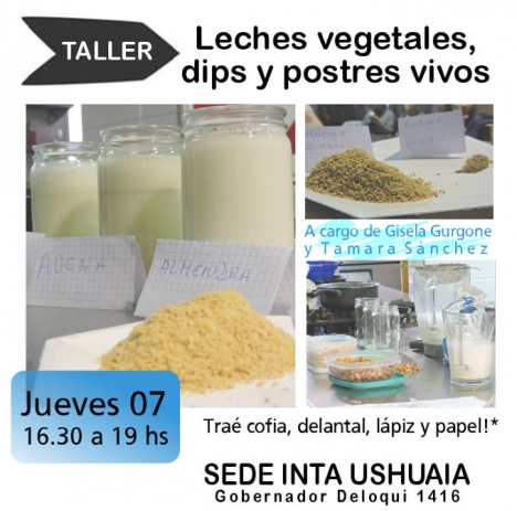 Brindarán un taller de leches vegetales y postres vivos