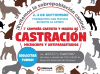 Se realizará una castración masiva de mascotas