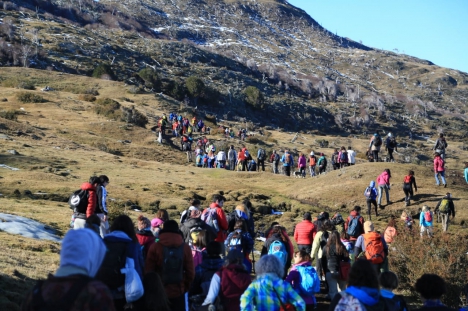 Realizan un abrazo simbÃ³lico al bosque nativo