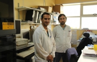 El laboratorio de Salud PÃºblica investiga la secuencia genÃ©tica del COVID-19