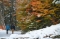 Ushuaia recibió la primera nevada del otoño
