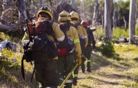 Incendio en el Corazón de la Isla: se estima en 5.000 hectáreas la superficie afectada