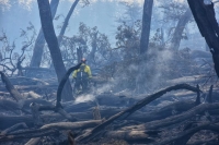 Continúa el combate al fuego en el Corazón de la Isla