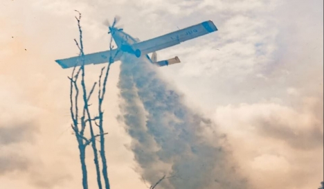 Corazón de la Isla: Ya lleva 16 días el combate al Fuego