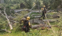 Incendio forestal: se siguen enfriando los puntos calientes