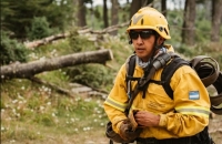 El incendio en el Corazón de la Isla continúa contenido