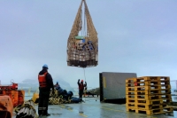 Se reabastecen las bases Esperanza, Petrel, Orcadas, Carlini y Marambio