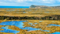 Península Mitre es declarada “Sitio Ramsar” en reconocimiento a su importancia internacional