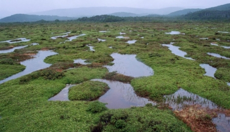 Celebran en la UNTDF la designación de Península Mitre como Sitio Ramsar