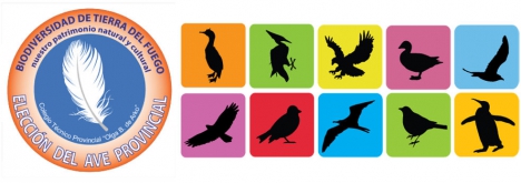 Realizarán un concurso fotográfico sobre aves de Tierra del Fuego