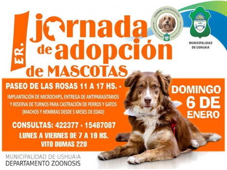 Se realizará la Primera Jornada de Adopción de Mascotas 2013 -Evento suspendido- Reprogramado para el Domingo 13 de Enero-