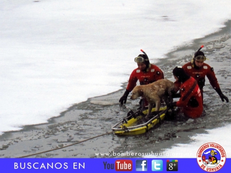 Bomberos rescataron un perro que había caído a la Bahía Encerrada