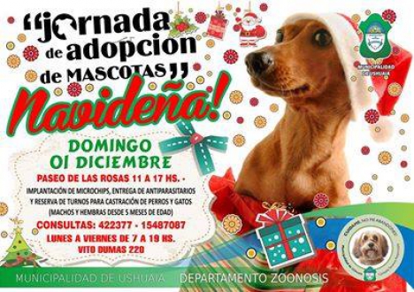 Zoonosis: última Jornada de Adopción Responsable